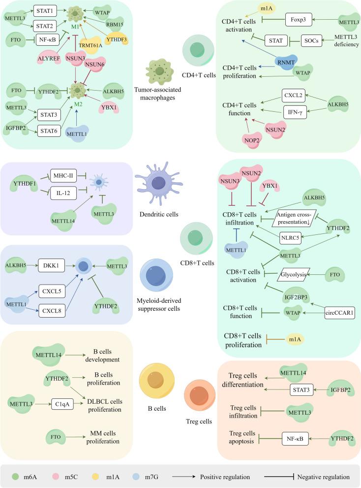https://cdn.ncbi.nlm.nih.gov/pmc/blobs/cc33/11188252/b5a23214e5ab/12943_2024_2041_Fig4_HTML.jpg
