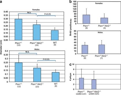 https://cdn.ncbi.nlm.nih.gov/pmc/blobs/cc33/3272625/848ad55dd5ec/onc2011243f3.jpg