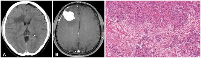 https://cdn.ncbi.nlm.nih.gov/pmc/blobs/cc34/11306841/61252b08f7c5/btrt-12-192-g001.jpg