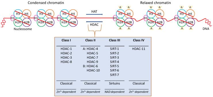 https://cdn.ncbi.nlm.nih.gov/pmc/blobs/cc34/9604828/3b3516835a5a/jpm-12-01672-g001.jpg