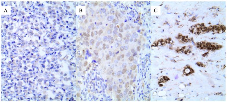 https://cdn.ncbi.nlm.nih.gov/pmc/blobs/cc34/9604828/60e1a37dd7a1/jpm-12-01672-g002.jpg