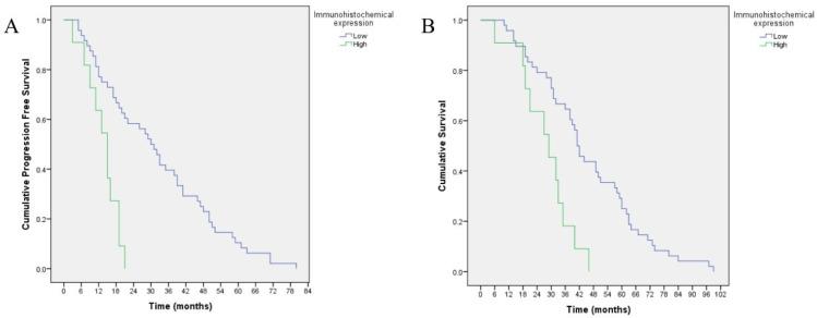 https://cdn.ncbi.nlm.nih.gov/pmc/blobs/cc34/9604828/eb4b59acd474/jpm-12-01672-g003.jpg