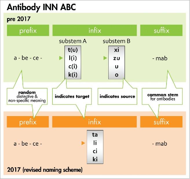 https://cdn.ncbi.nlm.nih.gov/pmc/blobs/cc36/5590622/83f3e24e4af0/kmab-09-06-1341029-g003.jpg