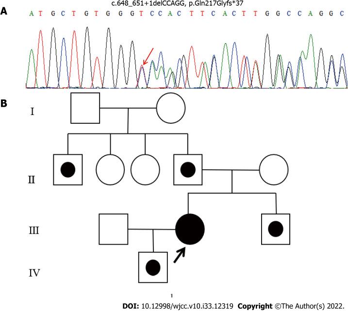 https://cdn.ncbi.nlm.nih.gov/pmc/blobs/cc38/9724524/28d42f622e6c/WJCC-10-12319-g002.jpg