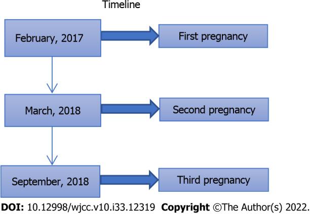 https://cdn.ncbi.nlm.nih.gov/pmc/blobs/cc38/9724524/b728bf24cae9/WJCC-10-12319-g005.jpg