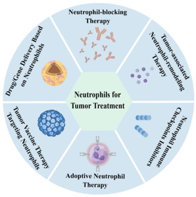 https://cdn.ncbi.nlm.nih.gov/pmc/blobs/cc39/12025517/ac1e5d65066a/cancers-17-01298-g007.jpg
