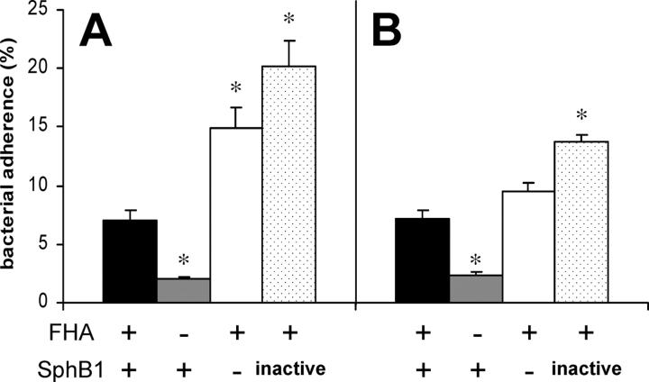 https://cdn.ncbi.nlm.nih.gov/pmc/blobs/cc39/2193847/5273694edcef/20021153f2.jpg
