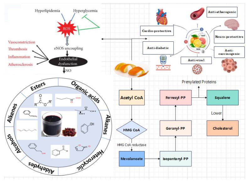 https://cdn.ncbi.nlm.nih.gov/pmc/blobs/cc3a/11172398/0baa8872d880/foods-13-01681-g005.jpg