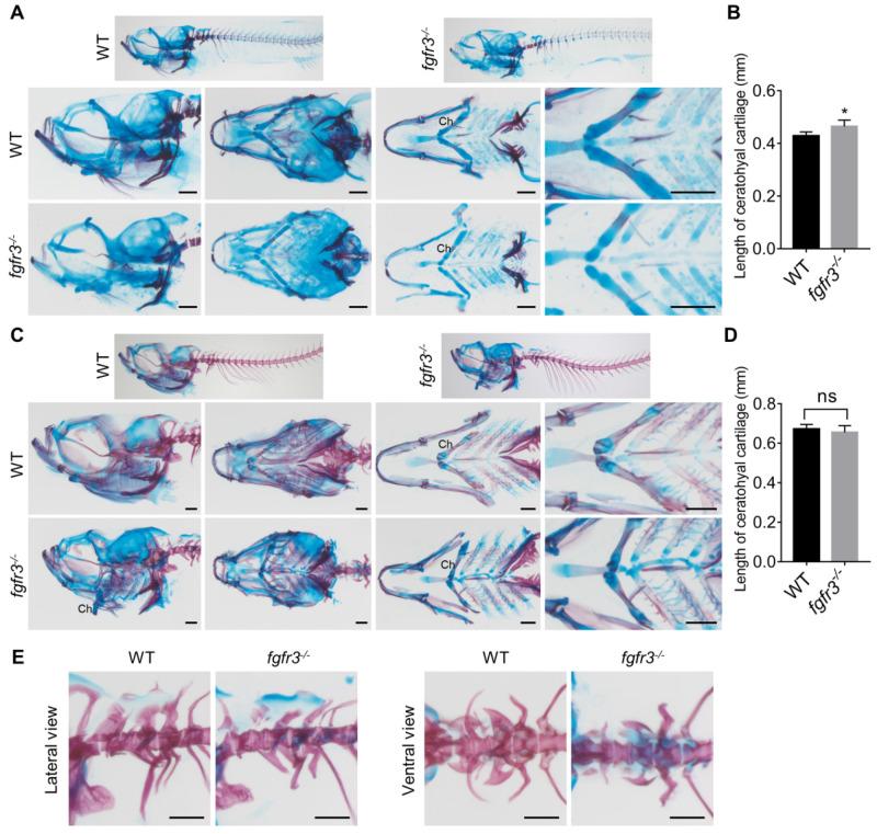 https://cdn.ncbi.nlm.nih.gov/pmc/blobs/cc3b/7330844/ad46b337bc70/thnov10p7111g006.jpg