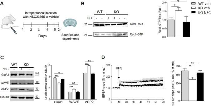https://cdn.ncbi.nlm.nih.gov/pmc/blobs/cc3f/8639580/d48b15954c60/12035_2021_2502_Fig6_HTML.jpg