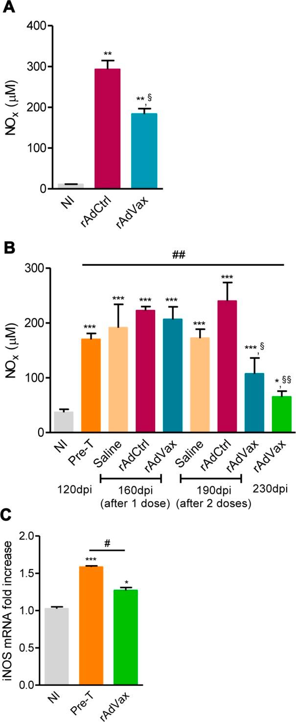 https://cdn.ncbi.nlm.nih.gov/pmc/blobs/cc42/4305326/253e113adc98/ppat.1004594.g007.jpg