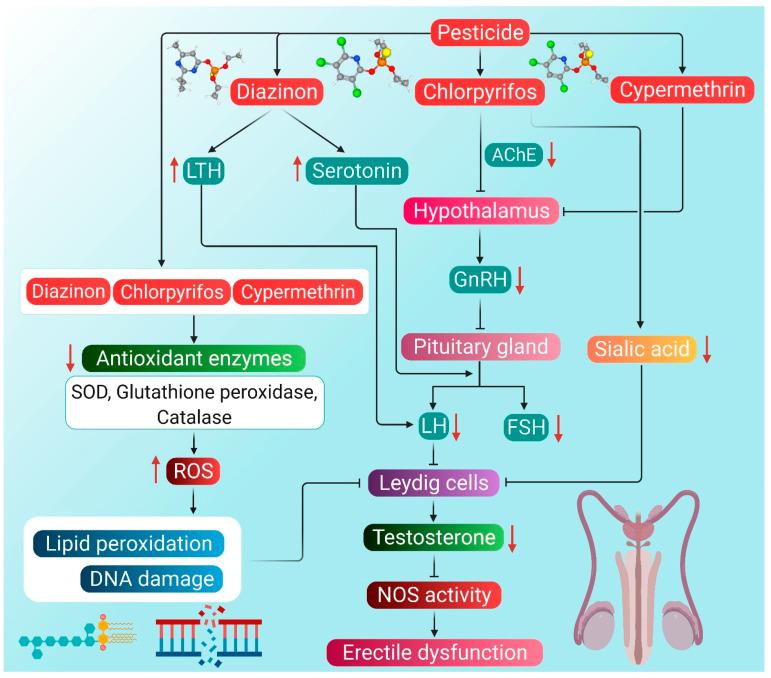https://cdn.ncbi.nlm.nih.gov/pmc/blobs/cc42/8225220/f9683a29e9c5/antioxidants-10-00837-g002.jpg