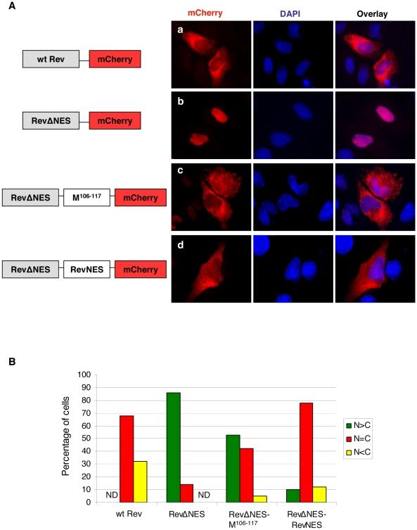 https://cdn.ncbi.nlm.nih.gov/pmc/blobs/cc43/2978725/1acc9c47d66c/ppat.1001186.g003.jpg