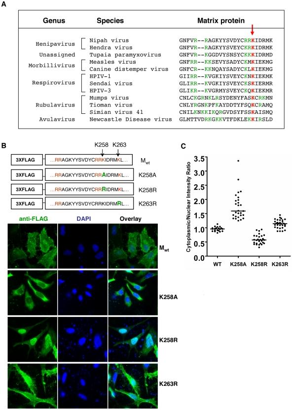 https://cdn.ncbi.nlm.nih.gov/pmc/blobs/cc43/2978725/ee62ee8e1702/ppat.1001186.g005.jpg