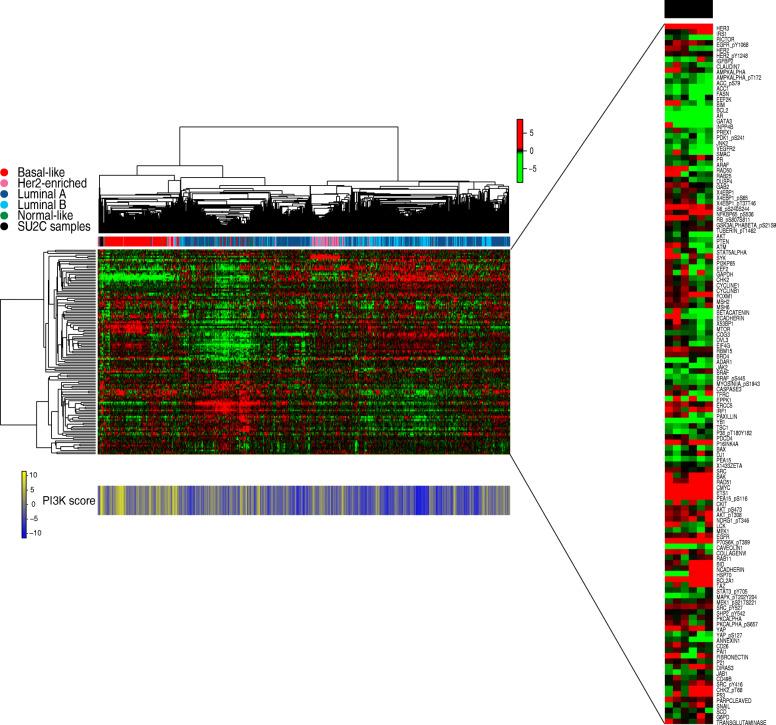 https://cdn.ncbi.nlm.nih.gov/pmc/blobs/cc43/7607628/86bcb87efb63/13058_2020_1354_Fig3_HTML.jpg