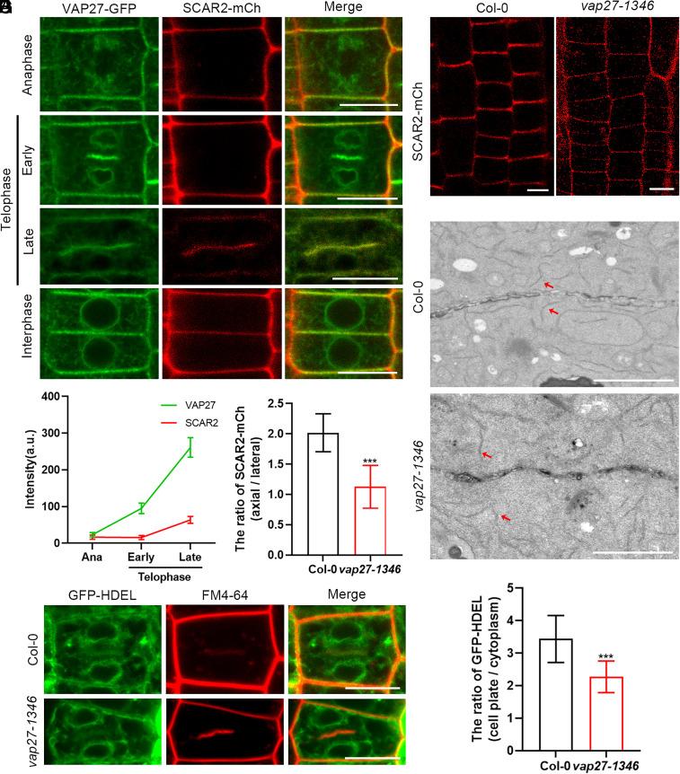 https://cdn.ncbi.nlm.nih.gov/pmc/blobs/cc46/11831168/c92ef17faa23/pnas.2416927122fig04.jpg