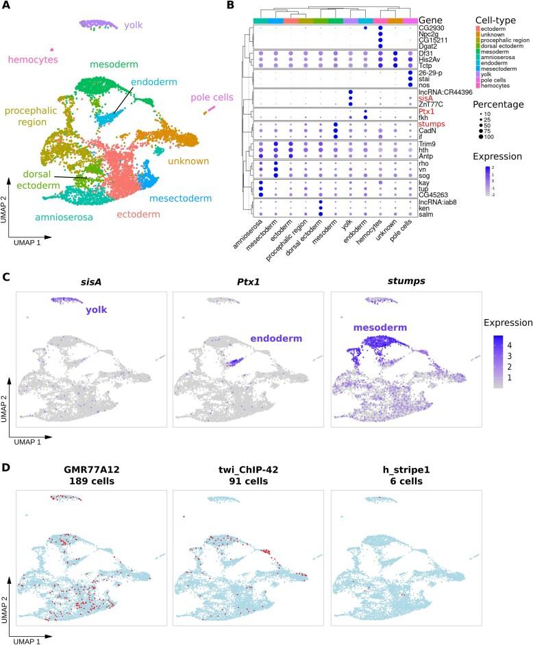 https://cdn.ncbi.nlm.nih.gov/pmc/blobs/cc46/12282952/9e28f5dc184f/gkaf684fig2.jpg