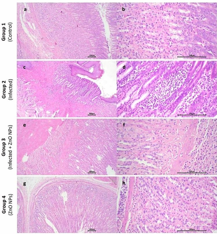 https://cdn.ncbi.nlm.nih.gov/pmc/blobs/cc47/12053763/6ef8a74f3015/41598_2025_98060_Fig5_HTML.jpg