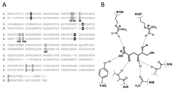 https://cdn.ncbi.nlm.nih.gov/pmc/blobs/cc49/6651773/6afd72bfe2c0/molecules-24-02393-g005.jpg