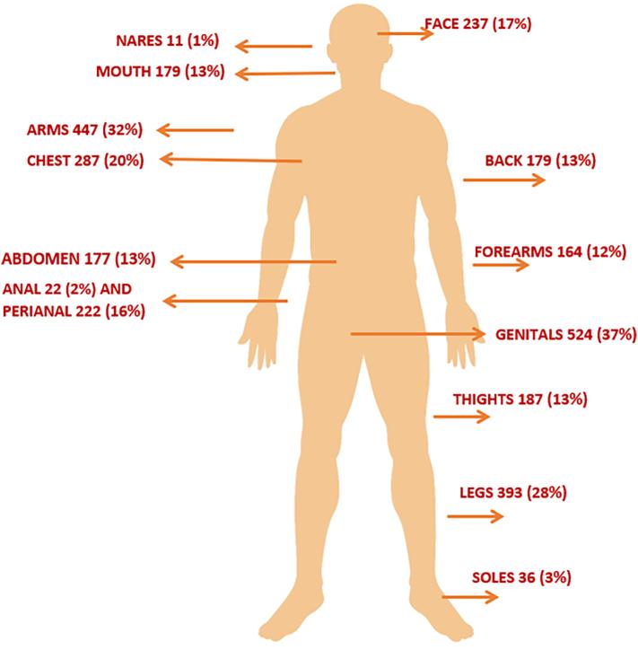 https://cdn.ncbi.nlm.nih.gov/pmc/blobs/cc4a/12002742/562b2223efd6/gr1.jpg
