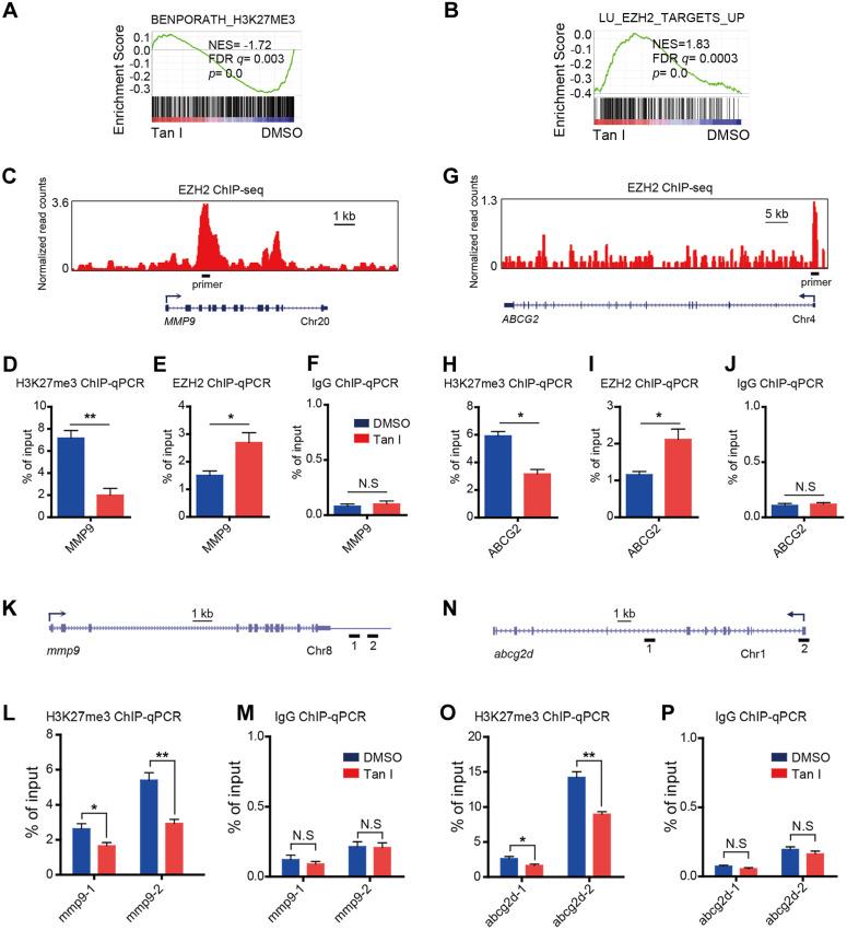 https://cdn.ncbi.nlm.nih.gov/pmc/blobs/cc4a/8171091/2b76e13c1b1c/thnov11p6891g006.jpg