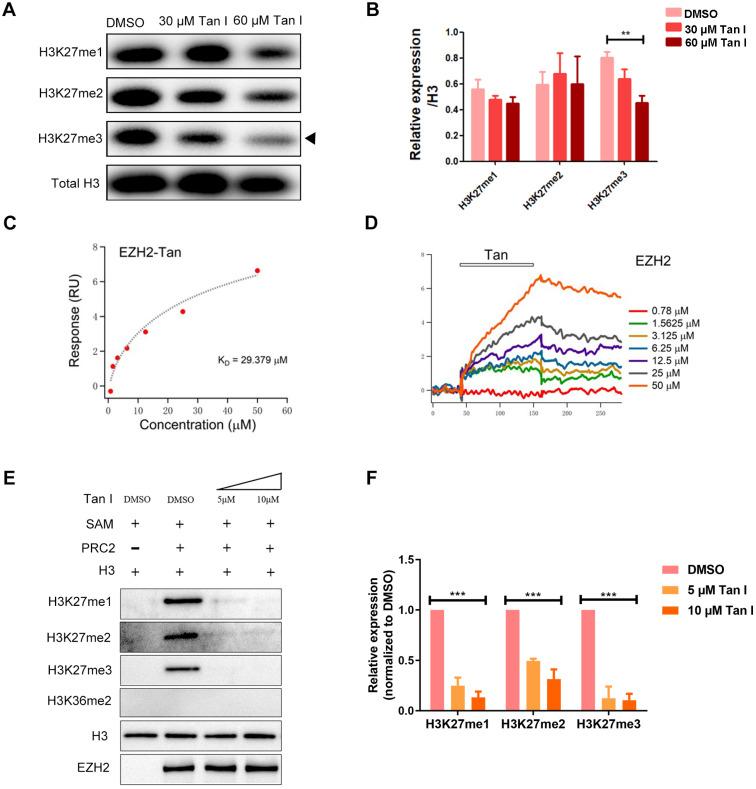 https://cdn.ncbi.nlm.nih.gov/pmc/blobs/cc4a/8171091/37e80ec67424/thnov11p6891g005.jpg
