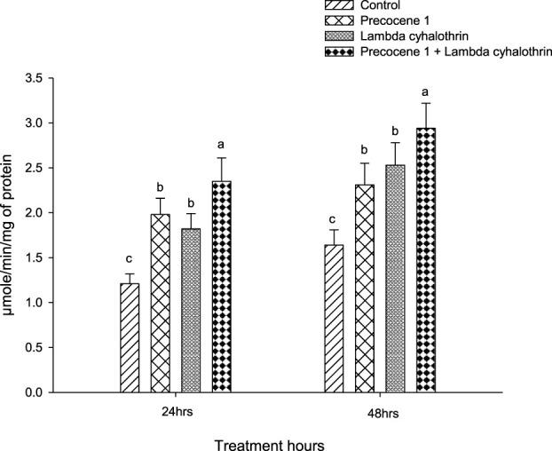 https://cdn.ncbi.nlm.nih.gov/pmc/blobs/cc4c/9684723/2a471aa27aa8/fphys-13-900570-g004.jpg