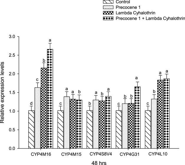 https://cdn.ncbi.nlm.nih.gov/pmc/blobs/cc4c/9684723/33ddb1050b12/fphys-13-900570-g006.jpg