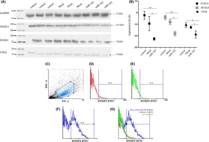 https://cdn.ncbi.nlm.nih.gov/pmc/blobs/cc4d/7893989/cd2cea5dfe3d/CAS-112-589-g006.jpg