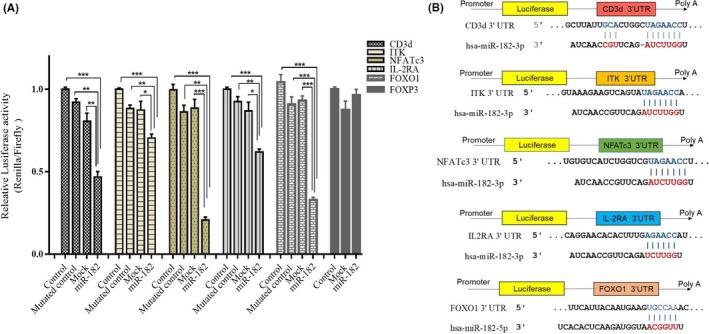 https://cdn.ncbi.nlm.nih.gov/pmc/blobs/cc4d/7893989/cfa2c27e8b2b/CAS-112-589-g005.jpg