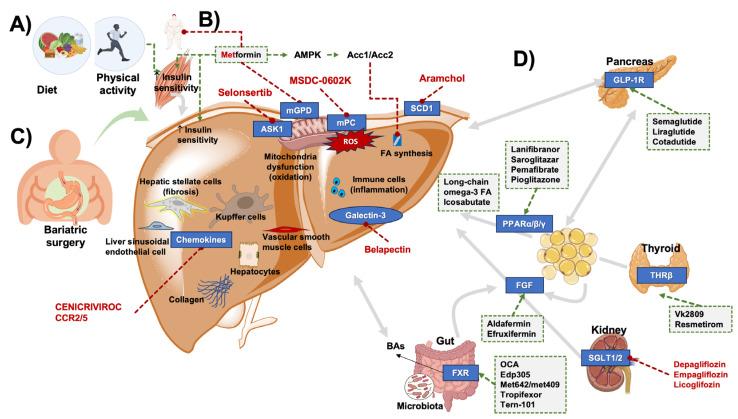 https://cdn.ncbi.nlm.nih.gov/pmc/blobs/cc4e/11172019/1ef794062a86/ijms-25-05640-g007.jpg