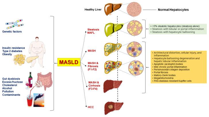 https://cdn.ncbi.nlm.nih.gov/pmc/blobs/cc4e/11172019/61580f07bf1e/ijms-25-05640-g001.jpg