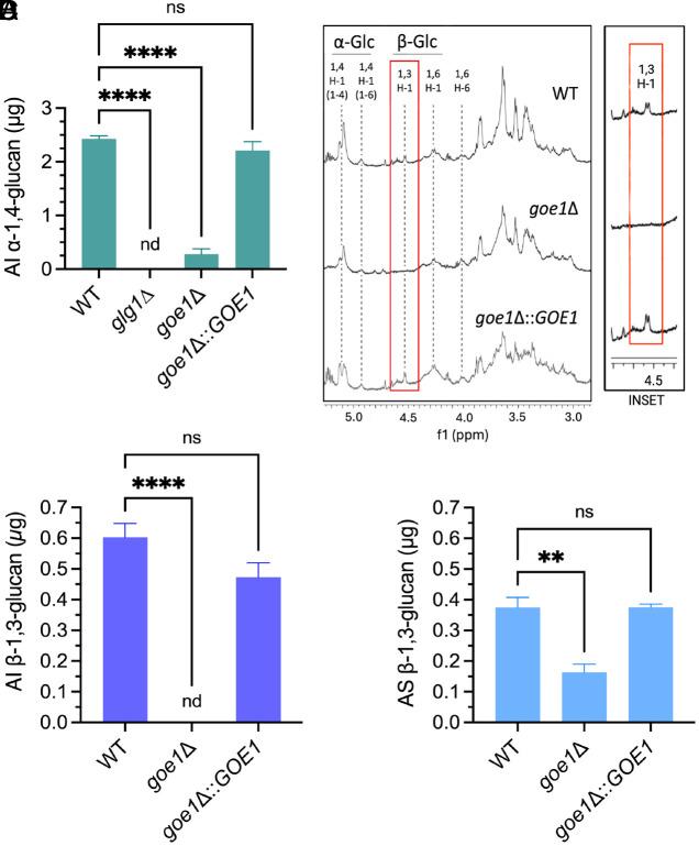 https://cdn.ncbi.nlm.nih.gov/pmc/blobs/cc51/11126952/4265b5be0791/pnas.2319707121fig05.jpg