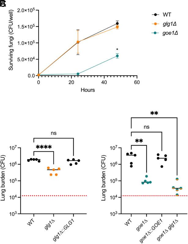 https://cdn.ncbi.nlm.nih.gov/pmc/blobs/cc51/11126952/e141cbec3a24/pnas.2319707121fig06.jpg