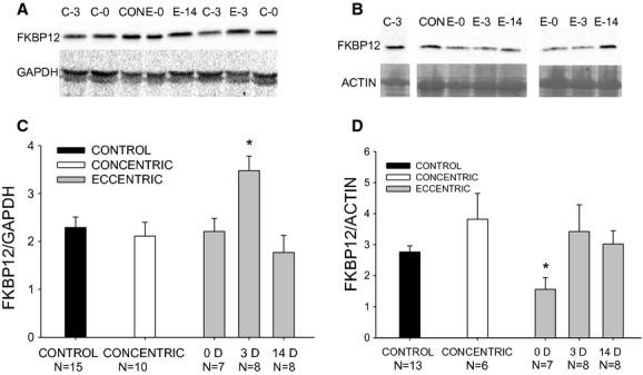 https://cdn.ncbi.nlm.nih.gov/pmc/blobs/cc56/4187567/4bb09644ba3f/phy2-2-e12081-g4.jpg