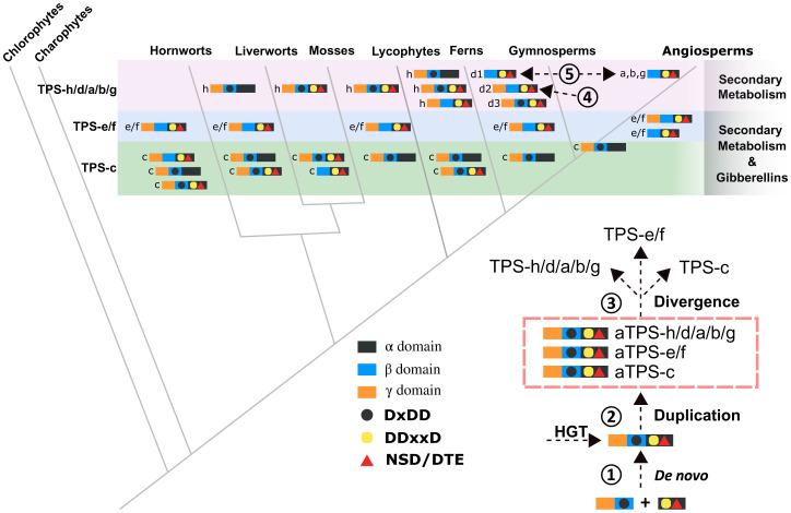 https://cdn.ncbi.nlm.nih.gov/pmc/blobs/cc56/9169658/6bf991fcef5c/pnas.2100361119fig05.jpg