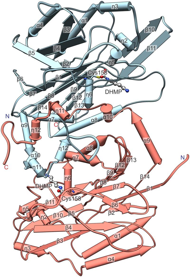 https://cdn.ncbi.nlm.nih.gov/pmc/blobs/cc57/4812014/ff9a88c27fb5/fpls-07-00350-g004.jpg