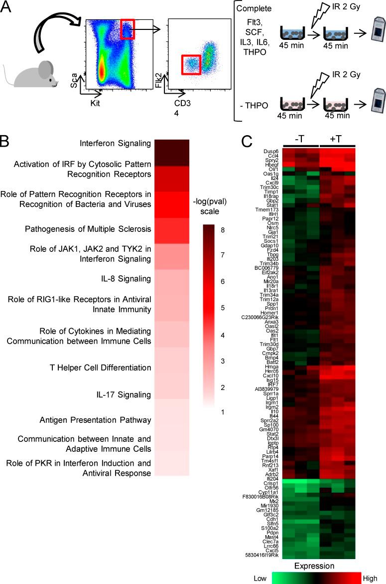 https://cdn.ncbi.nlm.nih.gov/pmc/blobs/cc59/5940259/dfe6db101bcb/JEM_20170997_Fig5.jpg