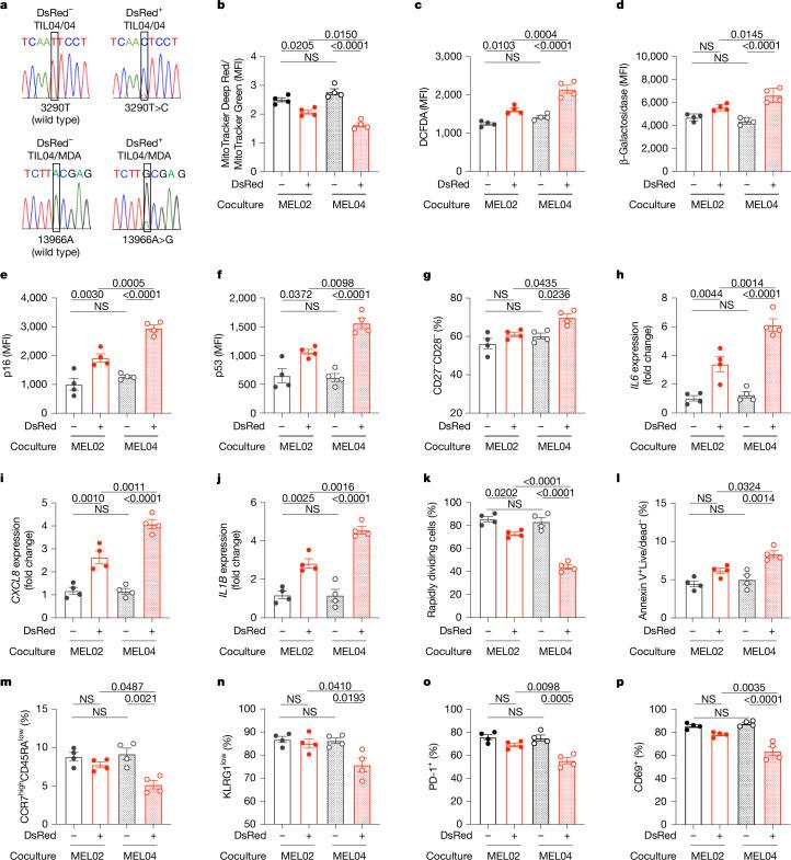 https://cdn.ncbi.nlm.nih.gov/pmc/blobs/cc5c/11798832/107293e7b060/41586_2024_8439_Fig4_HTML.jpg