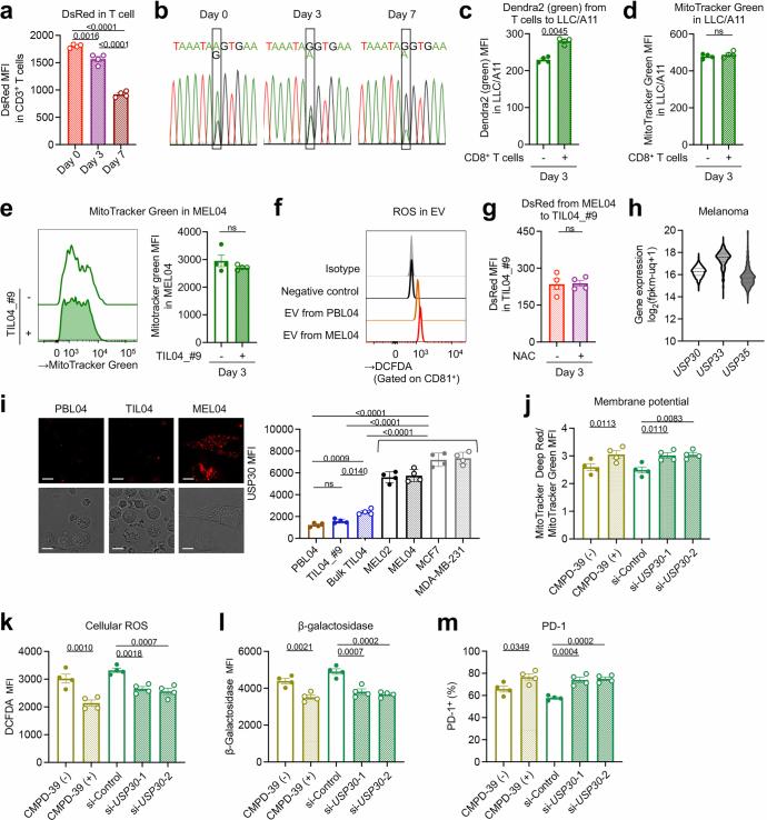 https://cdn.ncbi.nlm.nih.gov/pmc/blobs/cc5c/11798832/4e71c50e8949/41586_2024_8439_Fig7_ESM.jpg