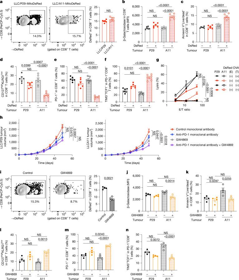 https://cdn.ncbi.nlm.nih.gov/pmc/blobs/cc5c/11798832/50d0e68ff032/41586_2024_8439_Fig5_HTML.jpg