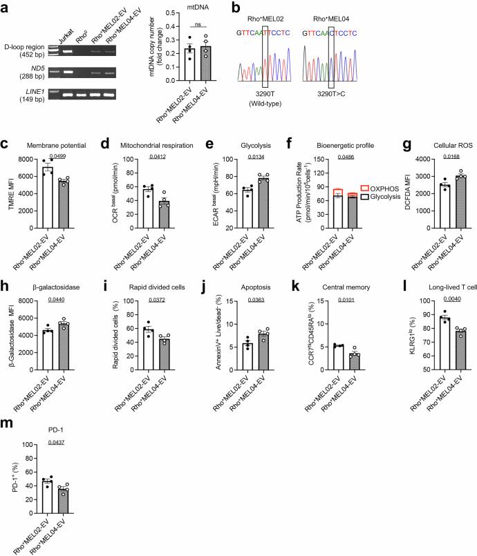 https://cdn.ncbi.nlm.nih.gov/pmc/blobs/cc5c/11798832/76cc852efe7d/41586_2024_8439_Fig11_ESM.jpg