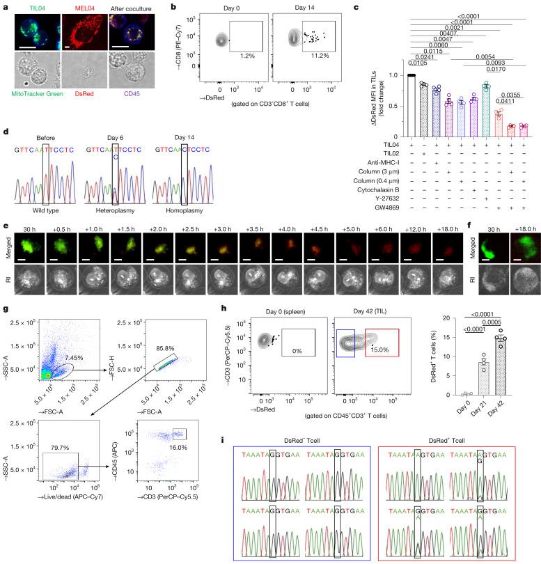 https://cdn.ncbi.nlm.nih.gov/pmc/blobs/cc5c/11798832/e61a9a384155/41586_2024_8439_Fig2_HTML.jpg