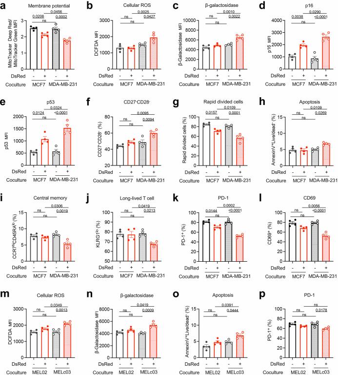 https://cdn.ncbi.nlm.nih.gov/pmc/blobs/cc5c/11798832/ea57527ba1fa/41586_2024_8439_Fig9_ESM.jpg