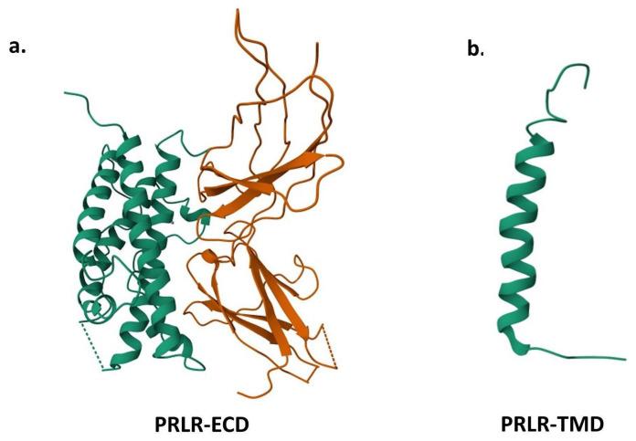 https://cdn.ncbi.nlm.nih.gov/pmc/blobs/cc60/12347873/c8e2712b86ca/ijms-26-07332-g003.jpg