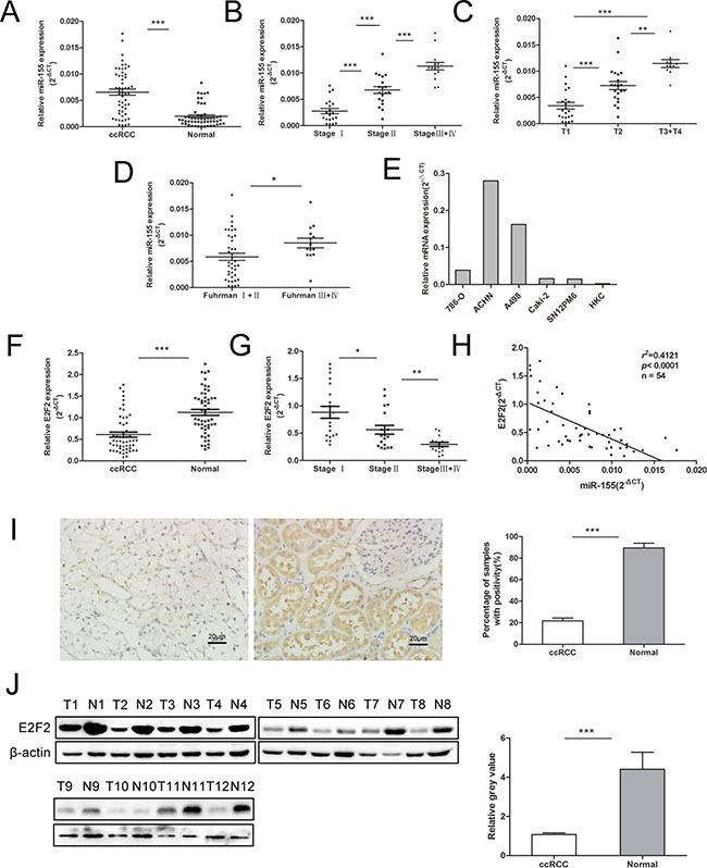 https://cdn.ncbi.nlm.nih.gov/pmc/blobs/cc61/4991458/6b285b38b7f6/oncotarget-07-20324-g001.jpg