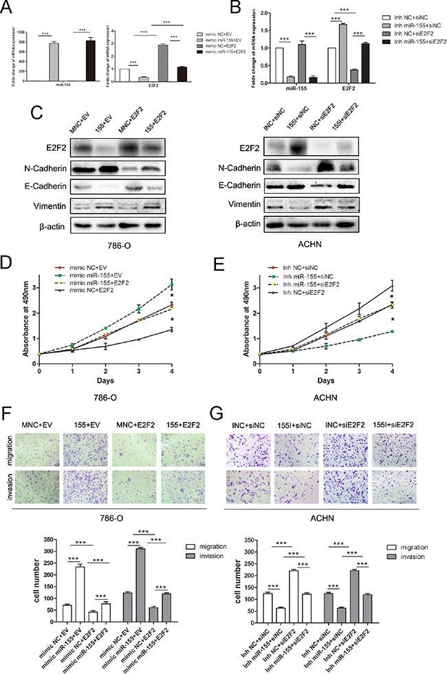 https://cdn.ncbi.nlm.nih.gov/pmc/blobs/cc61/4991458/8254572b4a34/oncotarget-07-20324-g005.jpg