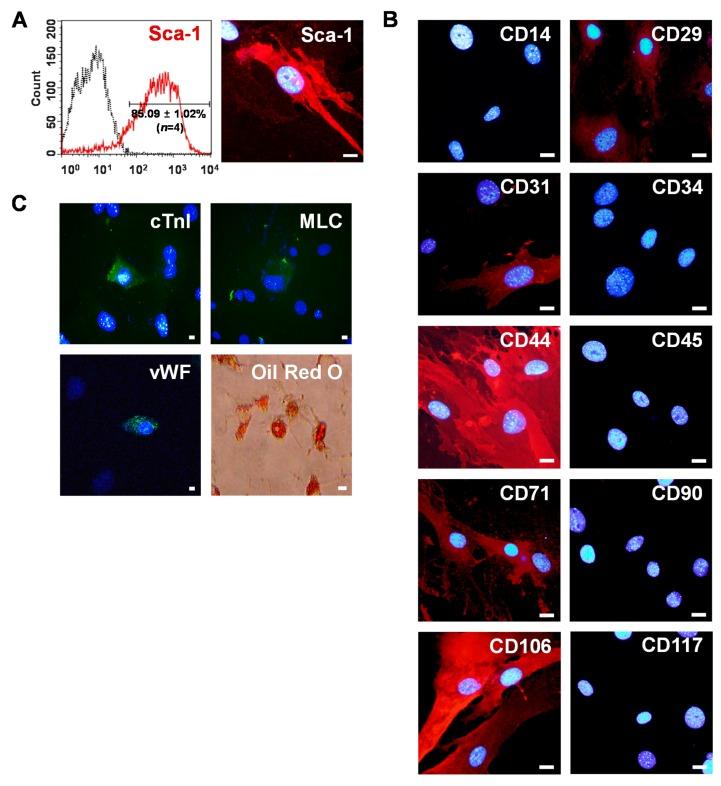 https://cdn.ncbi.nlm.nih.gov/pmc/blobs/cc64/4926334/7ad1e4a2c78e/ijms-17-00800-g001.jpg