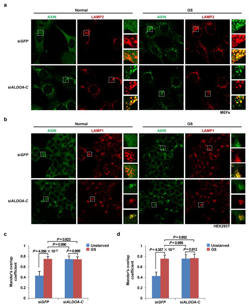 https://cdn.ncbi.nlm.nih.gov/pmc/blobs/cc64/5544942/36376cb3e395/emss-73130-f011.jpg