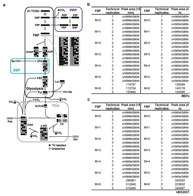 https://cdn.ncbi.nlm.nih.gov/pmc/blobs/cc64/5544942/5394c1ad5fd1/emss-73130-f013.jpg